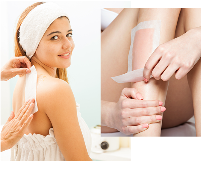 About Biowel Sciences